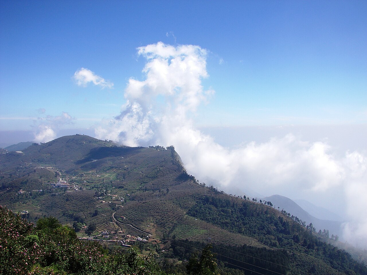 கொடைக்கானல் மலைப்பகுதி